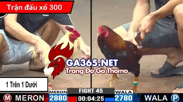 Trận xổ 300 Bảo Sting vs Duyên Ti