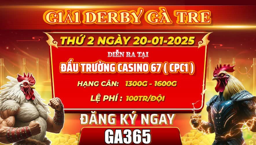 Giải Derby Gà Tre Mừng Xuân Ất Tị 2025 Tại CPC1 20/01/2025