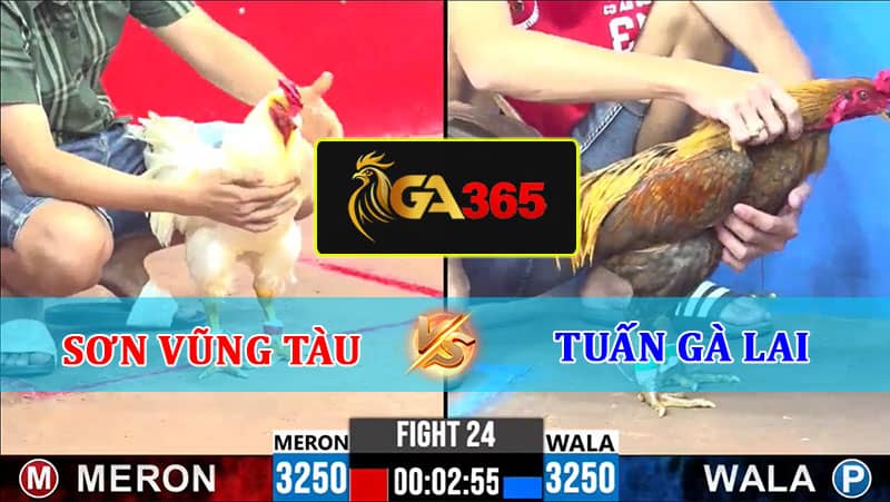 TRẬN 24 CPC1 10/2/2025 SƠN VŨNG TÀU VS TUẤN GÀ LAI