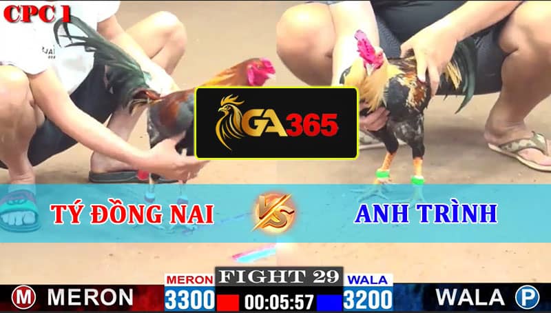 TRẬN 29 CPC1 10/2/2025 TÝ ĐỒNG NAI VS ANH TRÌNH