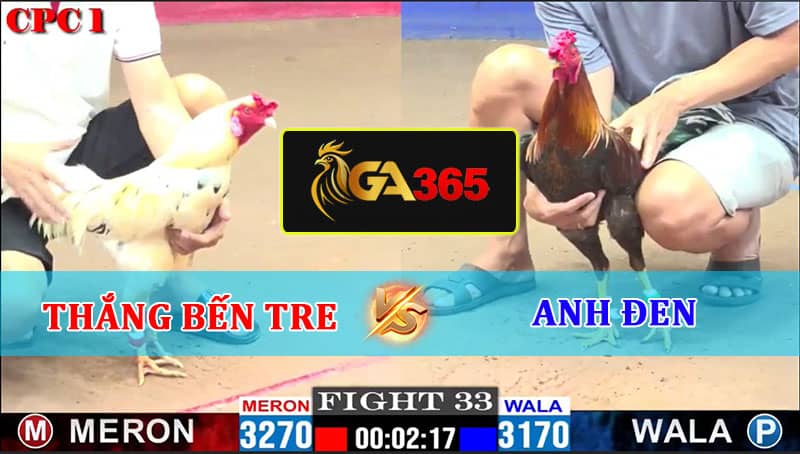TRẬN 33 CPC1 10/2/2025 THẮNG BẾN TRE VS ANH ĐEN
