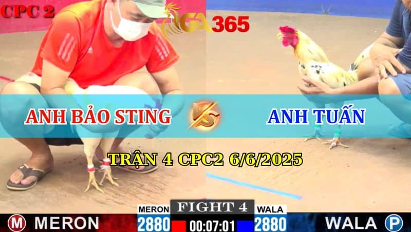 Trận 4 CPC2 Ngày 6/6/2025