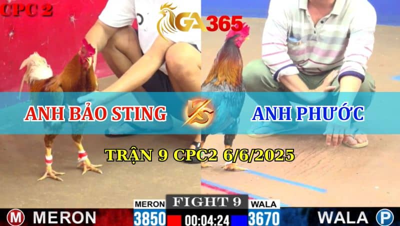 Trận 9 CPC2 6/6/2025